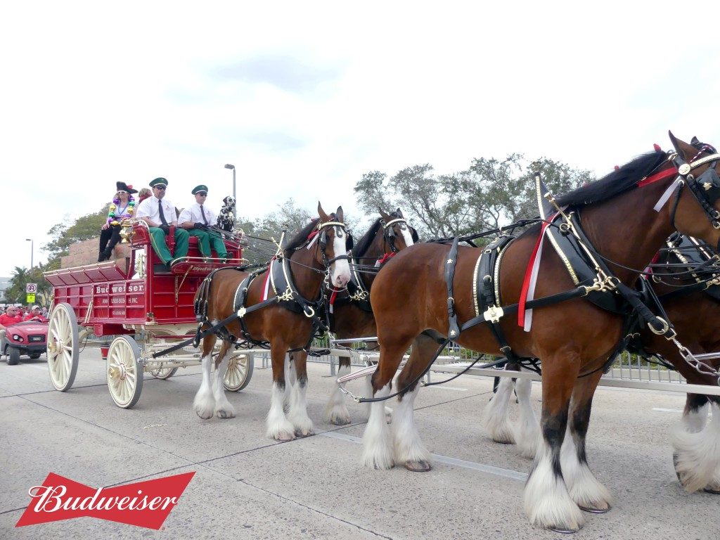 Gasparilla Pirate Fest 2018 presented by Budweiser