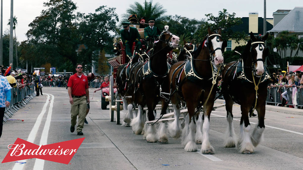Gasparilla Pirate Fest 2019 by Budweiser