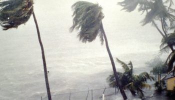 Tampa: Hurricane Planning and Tips