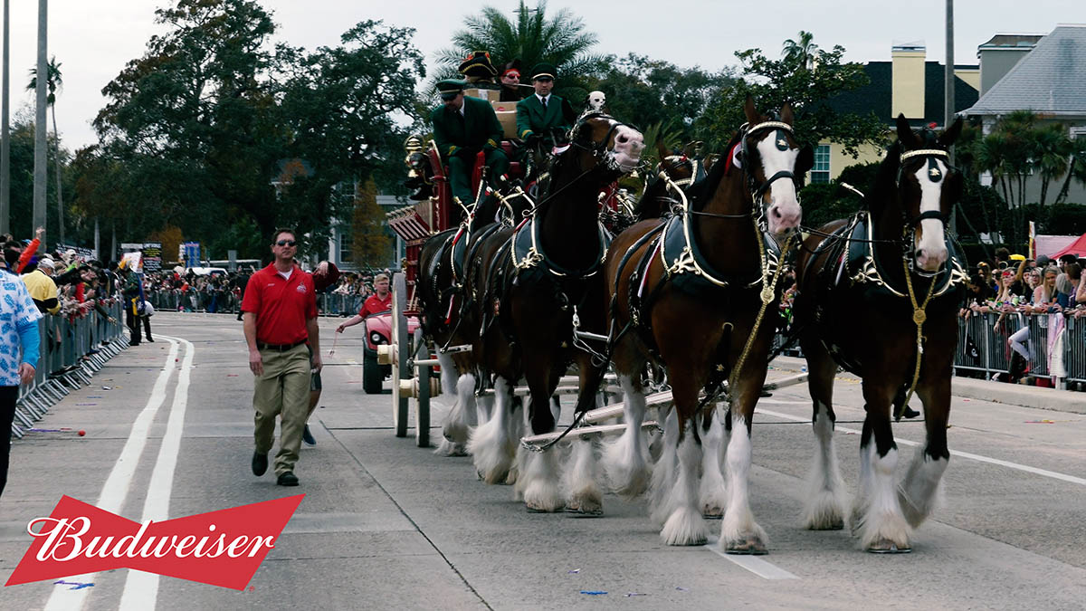 gaspy clydesdales